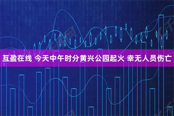 互盈在线 今天中午时分黄兴公园起火 幸无人员伤亡