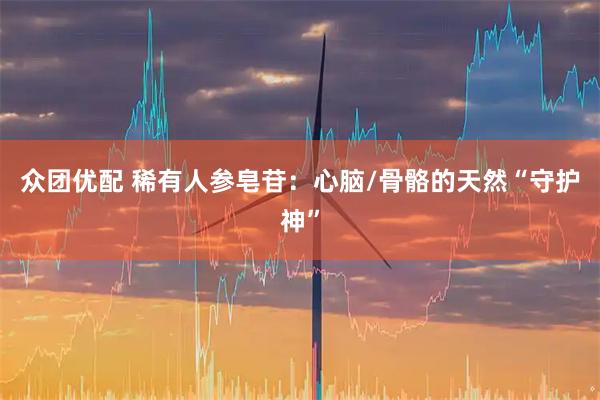 众团优配 稀有人参皂苷：心脑/骨骼的天然“守护神”